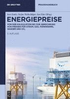 bokomslag Energiepreise
