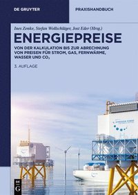 bokomslag Energiepreise: Von Der Kalkulation Bis Zur Abrechnung Von Preisen Für Strom, Gas, Fernwärme, Wasser Und Co&#8322;