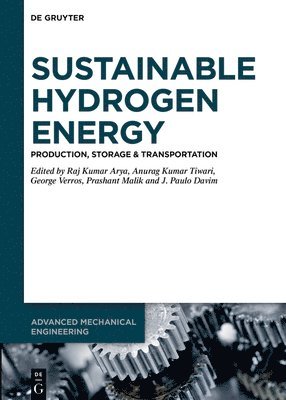 bokomslag Sustainable Hydrogen Energy