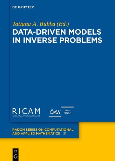 Tatiana A. Bubba - Data-driven Models in Inverse Problems, Inbunden