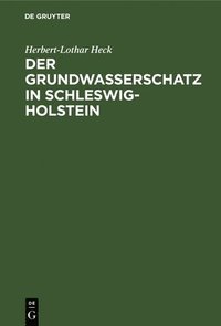 bokomslag Der Grundwasserschatz in Schleswig-Holstein