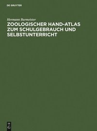 bokomslag Zoologischer Hand-Atlas Zum Schulgebrauch Und Selbstunterricht