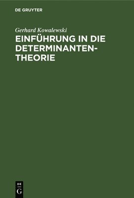bokomslag Einführung in die Determinantentheorie