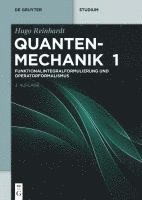 bokomslag Funktionalintegralformulierung und Operatorformalismus