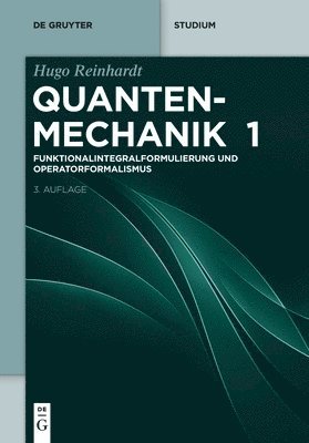 Hugo Reinhardt - Funktionalintegralformulierung Und Operatorformalismus, Häftad