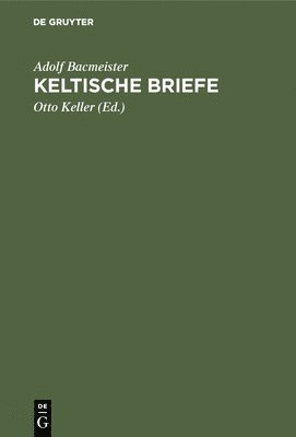 bokomslag Keltische Briefe