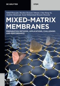 bokomslag Mixed-Matrix Membranes: Preparation Methods, Applications, Challenges and Performance