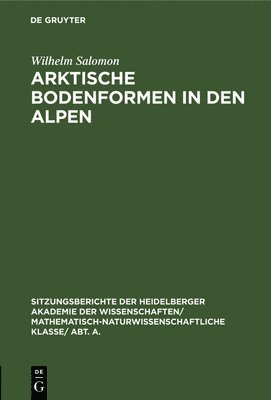 bokomslag Arktische Bodenformen in Den Alpen