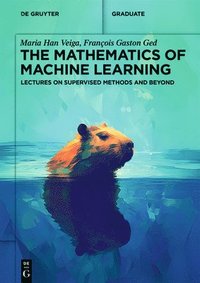 bokomslag The Mathematics of Machine Learning