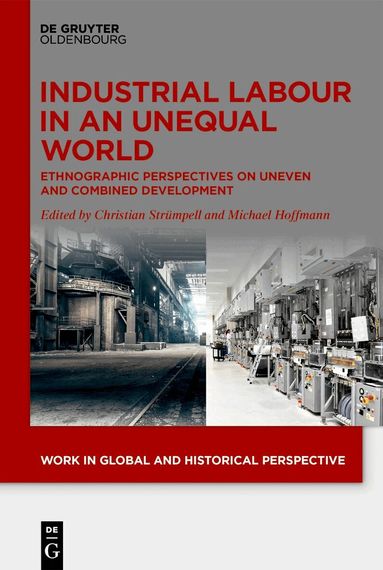 Christian Strümpell, Michael Hoffmann - Industrial Labour in an Unequal World, Inbunden