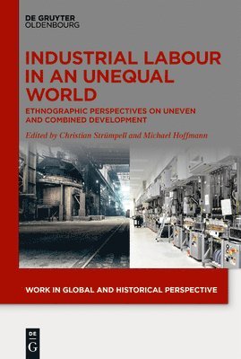 Christian Strümpell, Michael Hoffmann, Christian Strumpell - Industrial Labour in an Unequal World, Inbunden