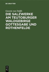bokomslag Die Salzwerke Am Teutoburger Waldgebirge Gottesgabe Und Rothenfelde