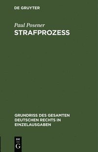 bokomslag Strafprozeß
