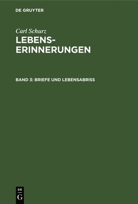 bokomslag Briefe Und Lebensabriß