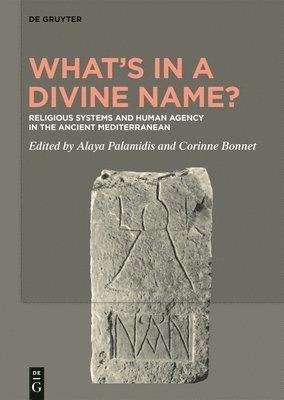 bokomslag What's in a Divine Name?