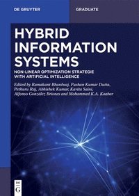 bokomslag Hybrid Information Systems: Non-Linear Optimization Strategie with Artificial Intelligence