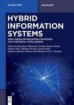 bokomslag Hybrid Information Systems