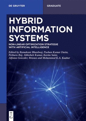Hybrid Information Systems: Non-Linear Optimization Strategie with Artificial Intelligence 1