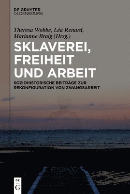 bokomslag Sklaverei, Freiheit Und Arbeit: Soziohistorische Beiträge Zur Rekonfiguration Von Zwangsarbeit