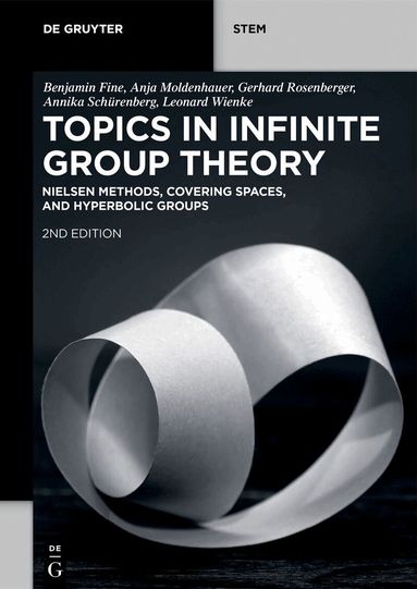 Benjamin Fine, Anja Moldenhauer, Gerhard Rosenberger, Annika Schürenberg, Leonard Wienke - Topics in Infinite Group Theory, Häftad