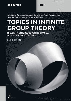 Benjamin Fine, Anja Moldenhauer, Gerhard Rosenberger, Annika Schürenberg, Leonard Wienke - Topics in Infinite Group Theory, Häftad