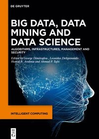 bokomslag Big Data, Data Mining and Data Science
