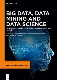 bokomslag Big Data, Data Mining and Data Science