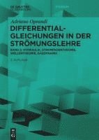 bokomslag Differentialgleichungen in Der Strömungslehre: Hydraulik, Stromfadentheorie, Wellentheorie, Gasdynamik