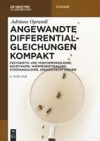 Angewandte Differentialgleichungen Kompakt: Festigkeits- Und Verformungslehre, Baudynamik, Wärmeübertragung, Strömungslehre, Grenzschichttheorie 1