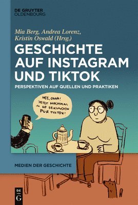 Geschichte Auf Instagram Und Tiktok: Perspektiven Auf Quellen Und Praktiken