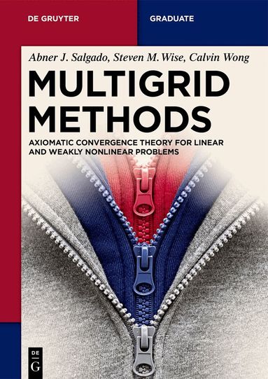 Abner J. Salgado, Steven M. Wise, Calvin Wong - Multigrid Methods, Häftad