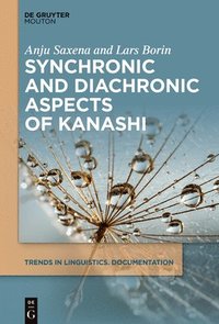 bokomslag Synchronic and Diachronic Aspects of Kanashi