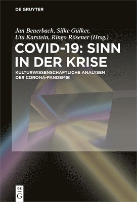 bokomslag Covid-19: Sinn in der Krise