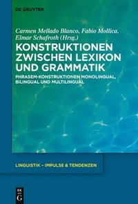 bokomslag Konstruktionen zwischen Lexikon und Grammatik