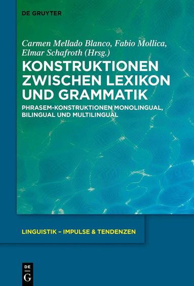 Carmen Mellado Blanco, Fabio Mollica, Elmar Schafroth - Konstruktionen zwischen Lexikon und Grammatik, Häftad