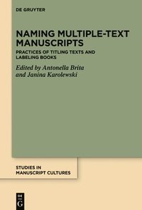 bokomslag Naming Multiple-text Manuscripts