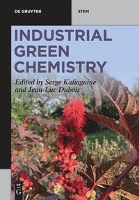 bokomslag Industrial Green Chemistry