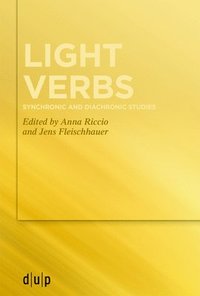 bokomslag Light verbs