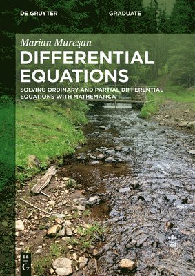 bokomslag Differential Equations