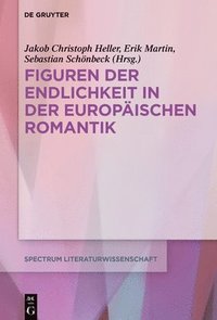 bokomslag Figuren Der Endlichkeit in Der Europäischen Romantik