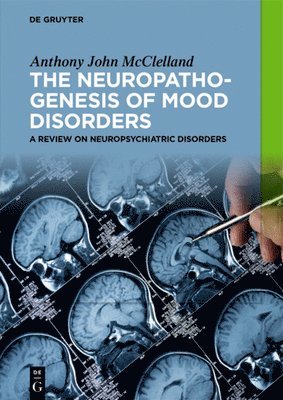 bokomslag The Neuropathogenesis of Mood Disorders