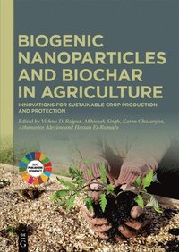 bokomslag Biogenic Nanoparticles and Biochar in Agriculture