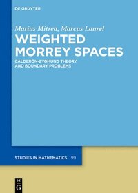 bokomslag Weighted Morrey Spaces: Calderón-Zygmund Theory and Boundary Problems