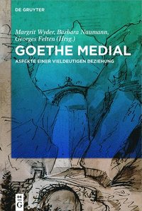 bokomslag Goethe Medial: Aspekte Einer Vieldeutigen Beziehung