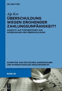 bokomslag Überschuldung wegen drohender Zahlungsunfähigkeit?