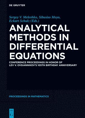 bokomslag Analytical Methods in Differential Equations