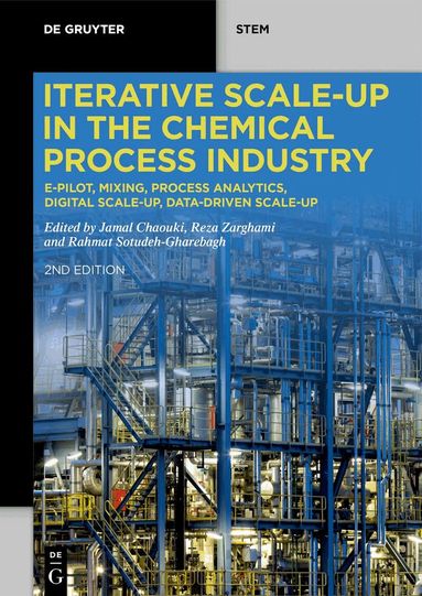 Jamal Chaouki, Reza Zarghami, Rahmat Sotudeh-Gharebagh - Iterative Scale-Up in the Chemical Process Industry, Häftad