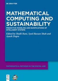 bokomslag Mathematical Computing and Sustainability