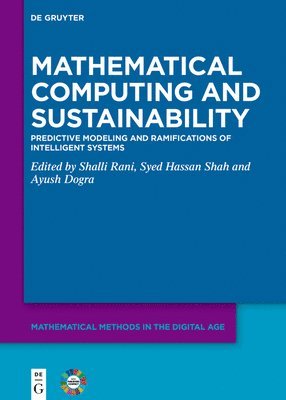 bokomslag Mathematical Computing and Sustainability