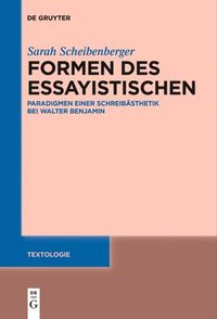 bokomslag Formen des Essayistischen